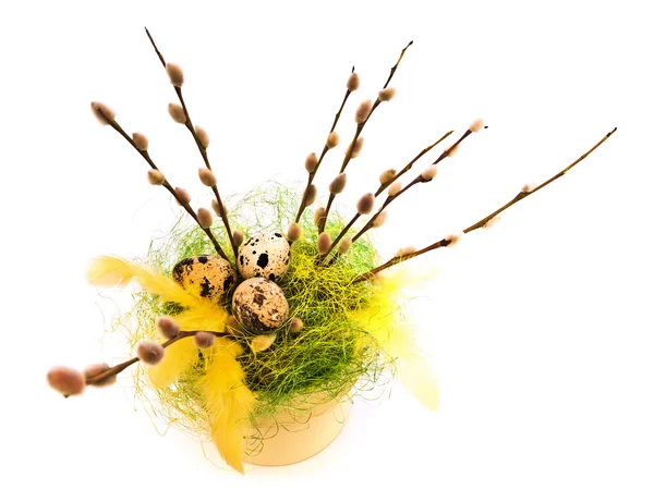 Velikonoční Vrba — Stock fotografie