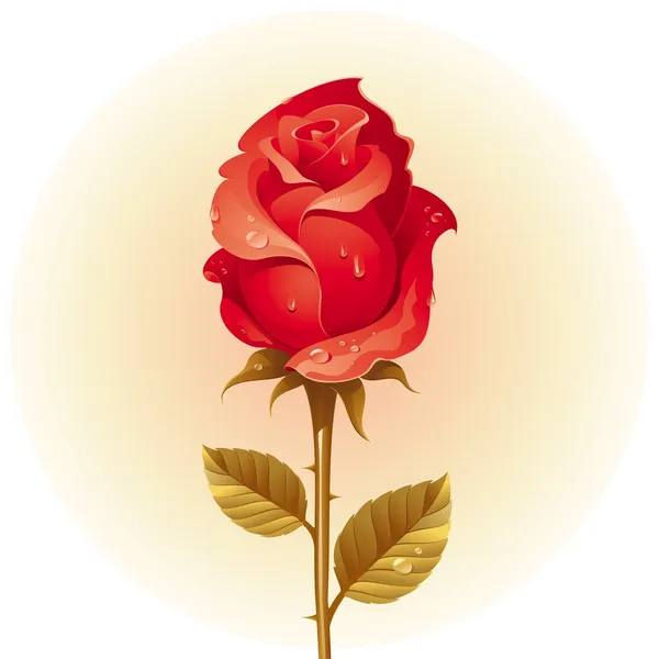 Rote Rose mit Tau — Stockvektor