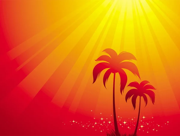 Palmy idealna światło słoneczne — Wektor stockowy