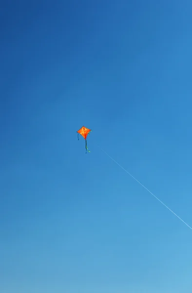 stock image Kite