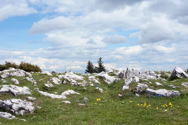 stock image Alpine landscape