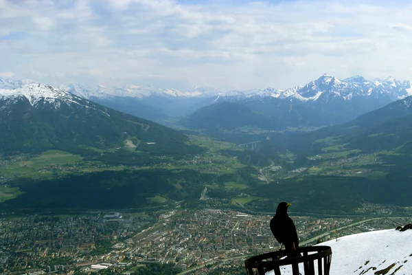 Innsbruck — Stockfoto