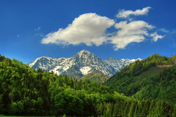 아름 다운 alpin 풍경 — 스톡 사진