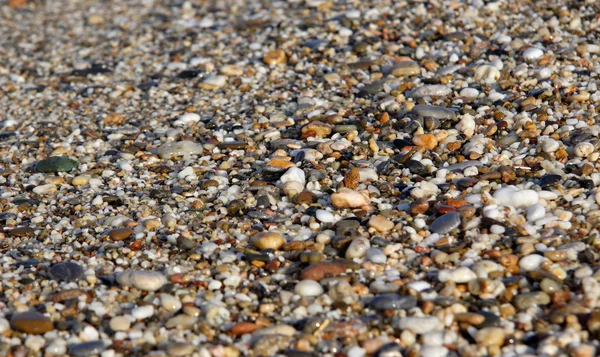 Stock image Sea stones