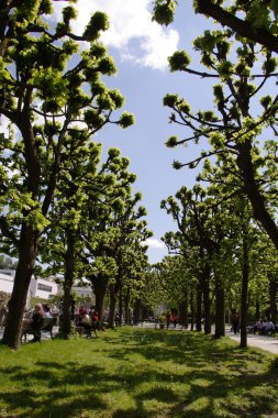 Paris parkı