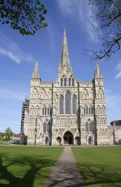 Salisbury Katedrali — Stok fotoğraf