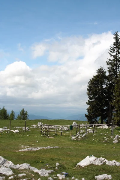 Alpin meadow — Stock Photo, Image