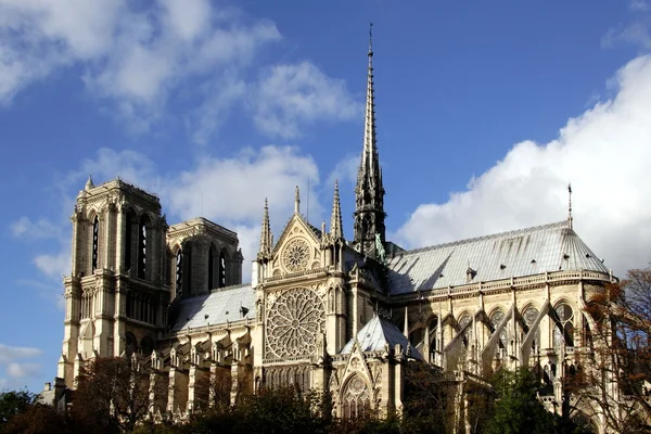 巴黎圣母院 免版税图库照片