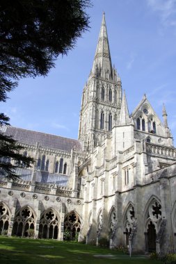 Salisbury Cathedral clipart