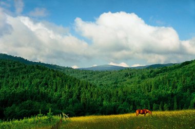 Carpathians landscape clipart