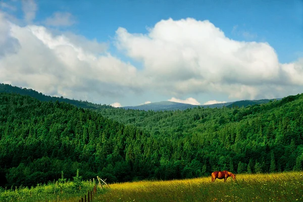 Carpathians 풍경 스톡 이미지