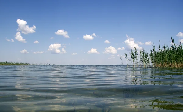 stock image Peacefu lake