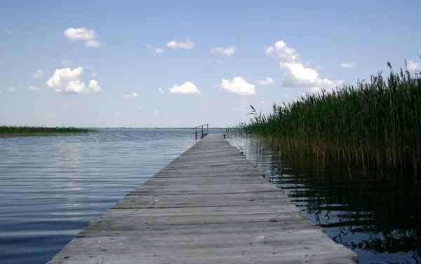 stock image Peacefu lake