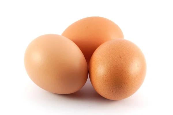 stock image Chicken egg