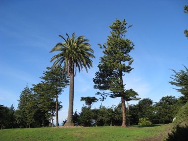 San Francisco 'ya park et.