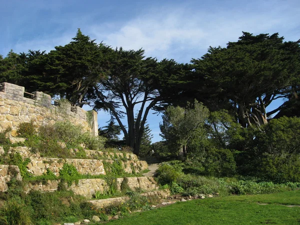 Park in San Francisco — Stock Photo, Image