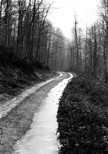 Road in Winter — Stock Photo, Image