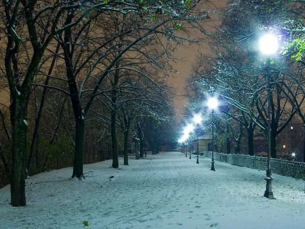 Illuminated snow Notte parco citadella — Stock Photo, Image