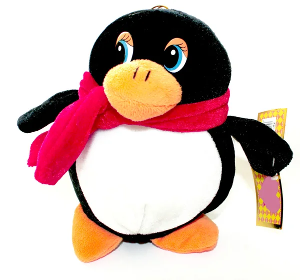 Чёрный пингвин — стоковое фото