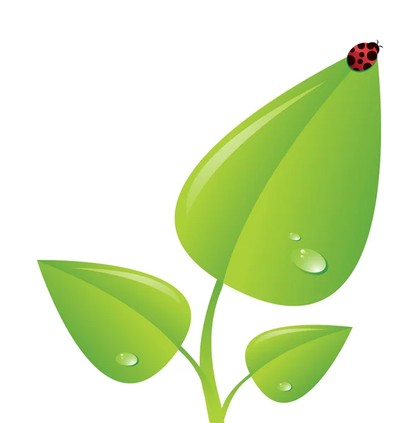 てんとう虫と緑の植物 — ストックベクタ