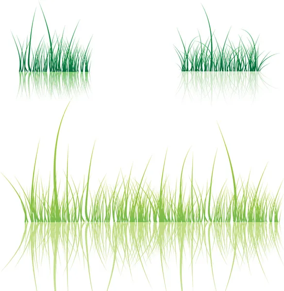 Herbe — Image vectorielle