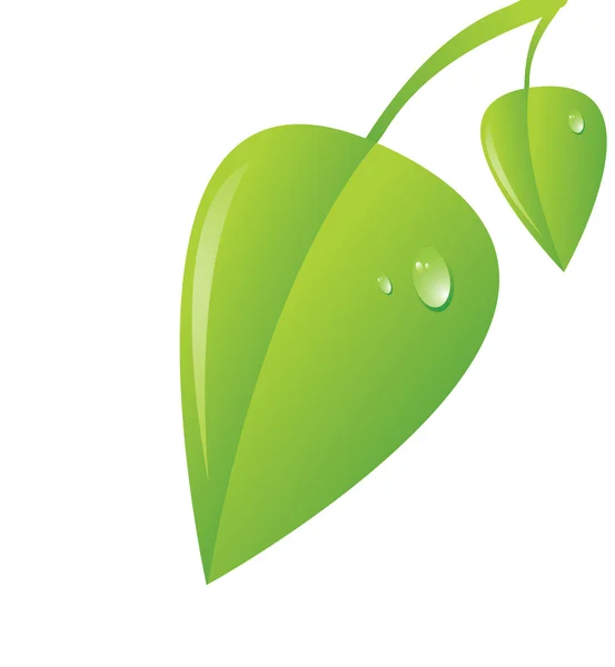 Frische grüne Blätter — Stockvektor