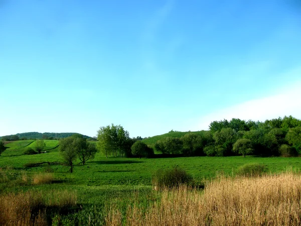 Panorama rural — Foto de Stock