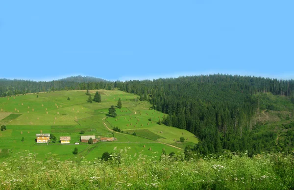 Mała wieś i lasów w górach — Zdjęcie stockowe