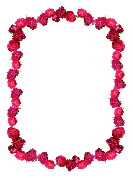 Old-styled wild roses frame — Stock Photo, Image