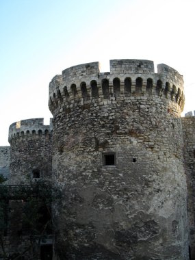 Tower of the fortress clipart