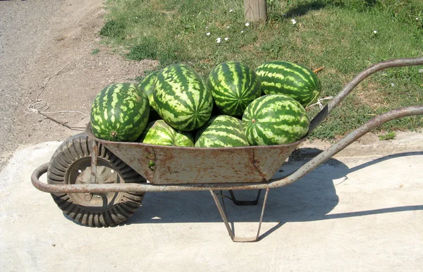 stock image Old iron handcart with water-melons