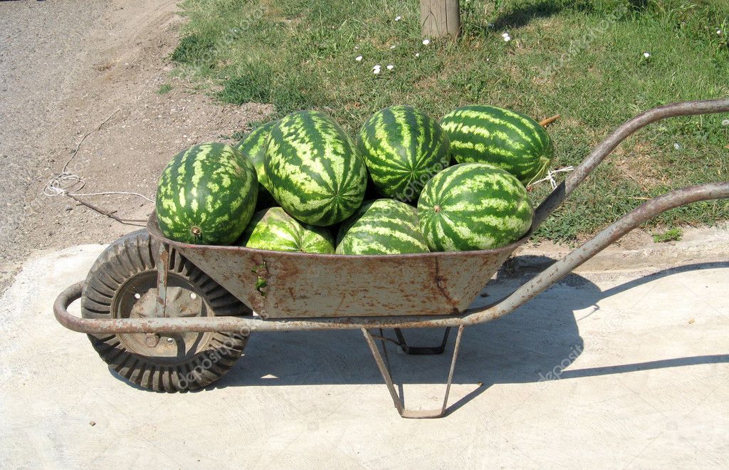 Old iron handcart with water-melons