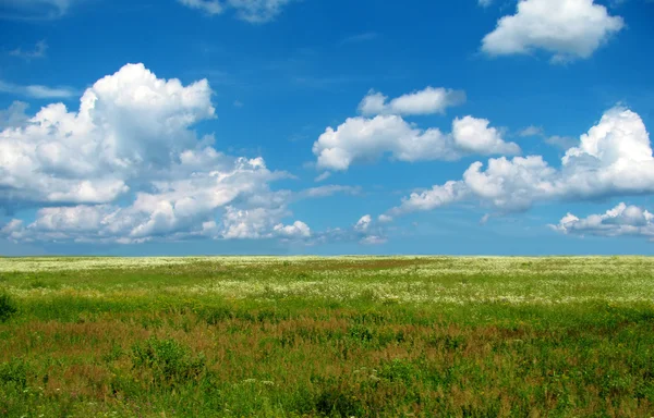 草原と空 — ストック写真