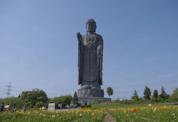 Grande Budda — Foto Stock