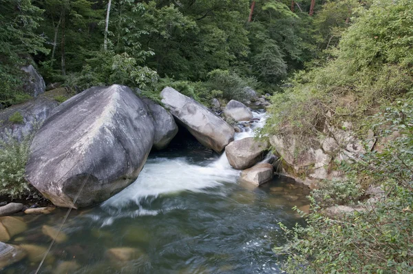 Río y caña de montaña — Foto de Stock