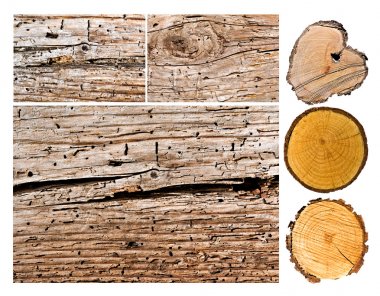 Wood clipart