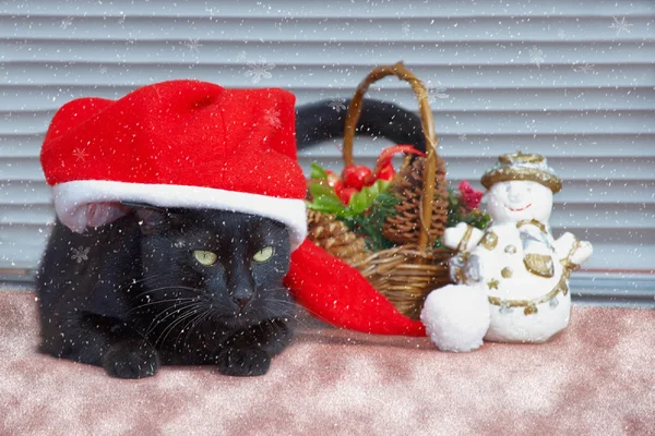 Kočka a sněhulák — Stock fotografie