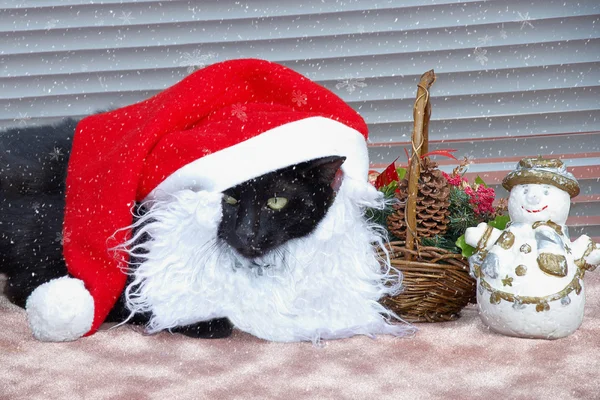 Kočka v klobouku santa claus a sněhem — Stock fotografie
