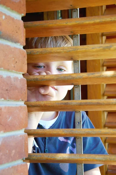 Kleine jongen op zoek via de blinds — Stockfoto