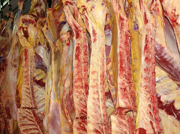 Beef half sides — Stock Photo, Image