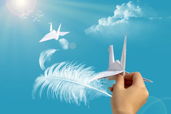 Hand launch paper pigeon — Stock Photo, Image