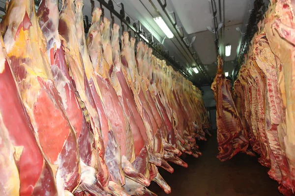 Carne de bovino metade lados Imagem De Stock