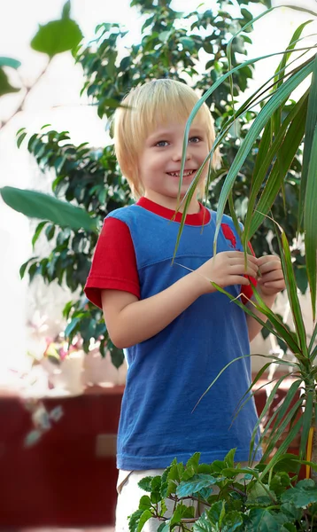 Pojke i trädgården — Stockfoto