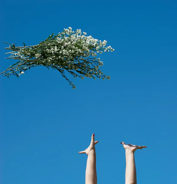 Jogando um monte de flores contra o céu — Fotografia de Stock