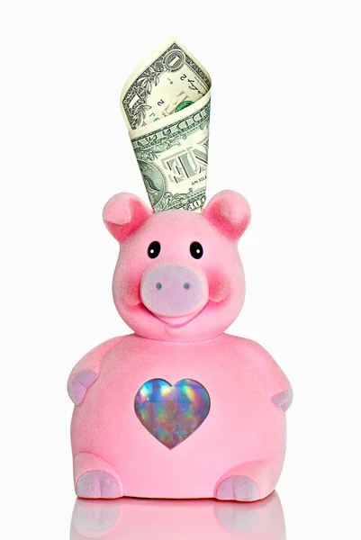 Box as a pig with one dollar — Stock Photo, Image