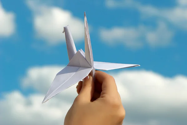 Lançamento no pombo de papel de céu — Fotografia de Stock