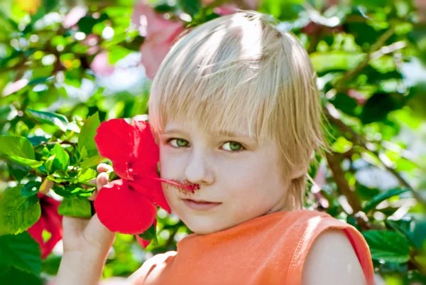 Παιδί φυσά ένα λουλούδι — Φωτογραφία Αρχείου