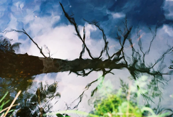 stock image Reflexion in lake