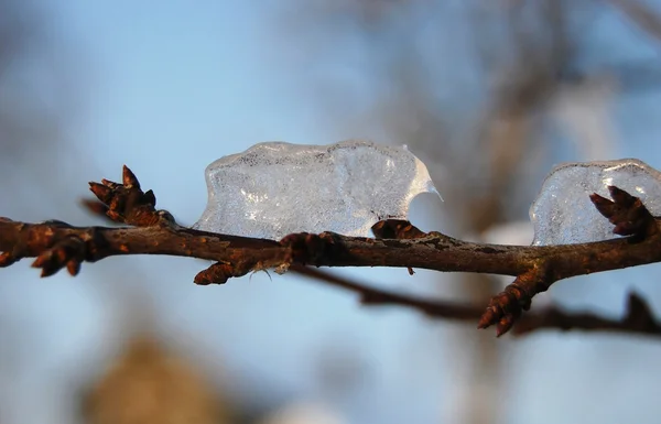 Side-line with piece of ice — Stock Photo, Image