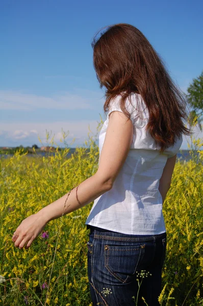 Girl standing in a yellow field — Stock Photo, Image
